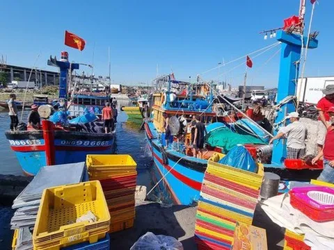 Tàu cá công suất lớn vẫn... “đắp mền”