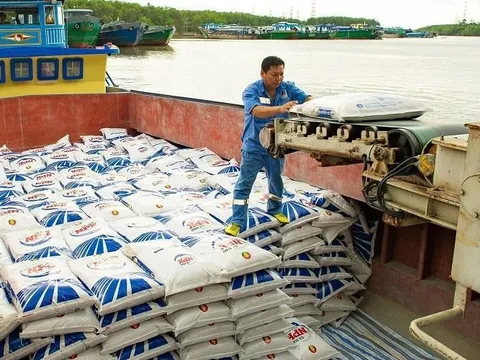 Xuất khẩu phân bón đang tăng, tỷ lệ nhập siêu có được rút ngắn?