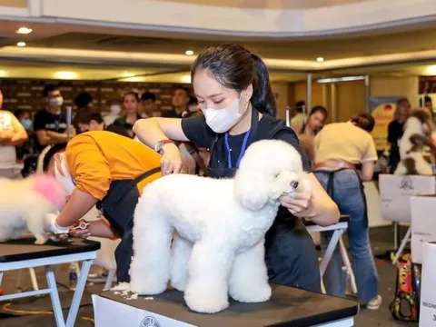 Độc đáo cuộc thi Tạo lông thú cưng quốc tế lần thứ 2 tại Việt Nam