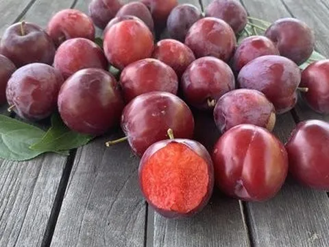 Những lợi ích sức khỏe tuyệt vời từ quả mận