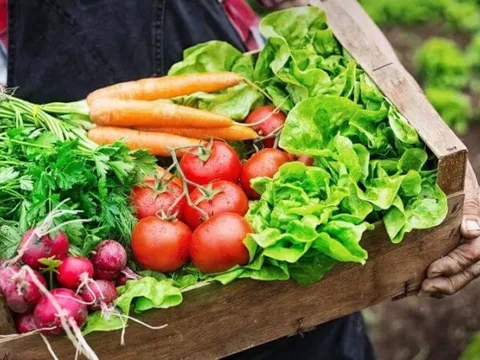 Việt Nam tham dự Hội chợ Thương mại hữu cơ hàng đầu thế giới tại Đức