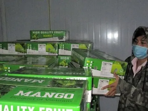 Ứng phó với giá USD, euro biến động mạnh