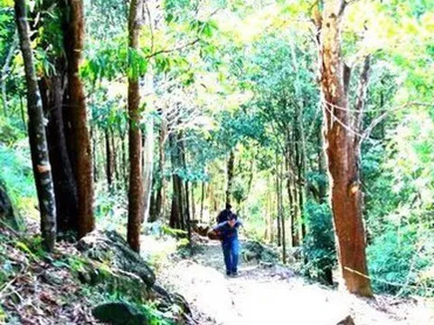 Bình Dương sẽ có một "Đà Lạt thu nhỏ" trên quần thể 21 ngọn núi gần hồ Dầu Tiếng