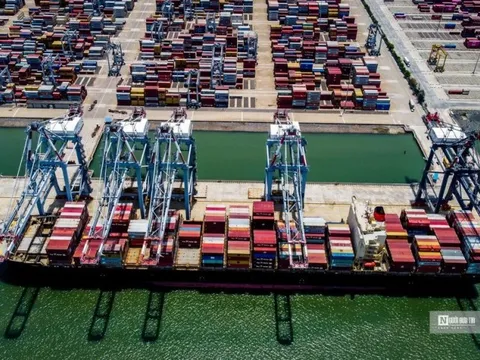 Bức tranh sáng tối của doanh nghiệp cảng biển