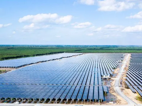 Bamboo Capital (BCG): Lợi nhuận nửa đầu năm tăng 81% lên 877 tỷ đồng