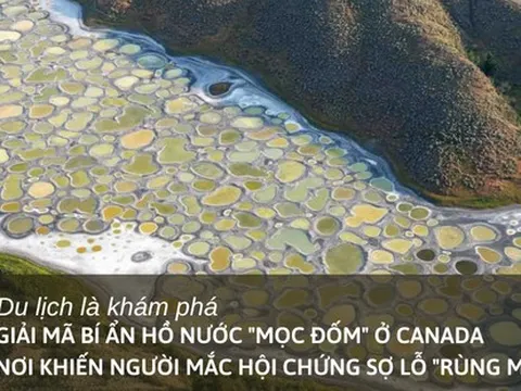 Lý giải bí ẩn hồ nước “mọc đốm” ở Canada: Nơi khiến người mắc hội chứng sợ lỗ "rùng mình"