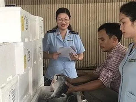 Bộ Nông nghiệp sửa quy định kiểm dịch gây tốn hàng trăm tỷ mỗi năm, doanh nghiệp 'thở phào'