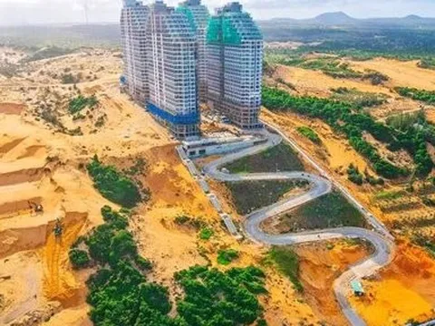 API: Doanh thu tăng vọt, lãi quý II/2022 sụt giảm 61%