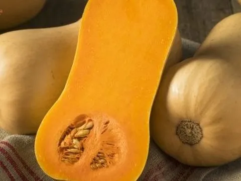 Những công dụng tuyệt vời của bí đỏ với sức khỏe