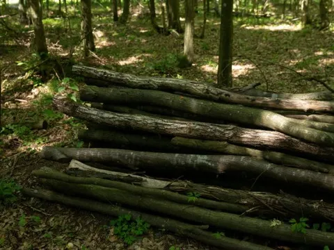 Nguyên liệu không ngờ đến này sẽ tạo ra bước tiến mới trong ngành sản xuất pin xe điện