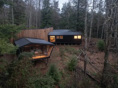 Nhà mô-đun ẩn mình giữa rừng cây xanh thẳm