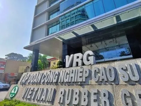 Mỗi ngày, Tập đoàn Cao su Việt Nam thu về gần 14 tỷ đồng