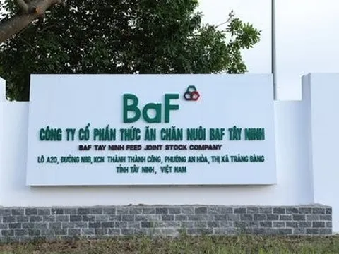 BAF: Nghịch lý doanh thu tăng nhưng lợi nhuận giảm