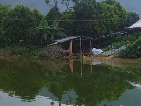Bố mẹ làm ăn xa, 2 anh em ruột chết đuối thương tâm khi ra ao tắm