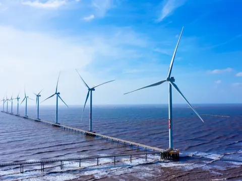 Phát triển điện gió: Cần tránh rủi ro sau 'sốt nóng' là 'đóng băng'