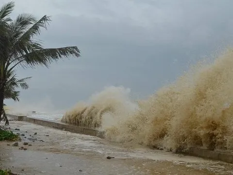 Vùng áp thấp sắp mạnh lên thành áp thấp nhiệt đới, mùa bão năm nay phức tạp khó lường