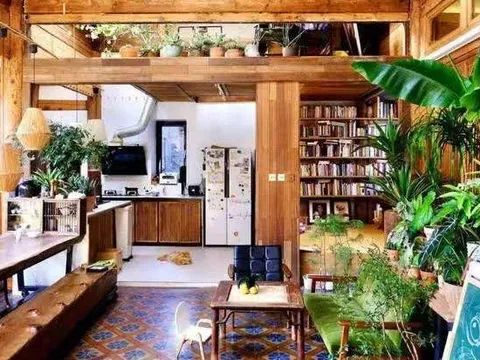 Cặp đôi 8X trồng vườn bách thảo hơn 600 loại cây trong nhà giữa phố