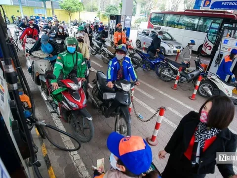 Giảm một nửa thuế nhập khẩu không giúp giảm giá xăng dầu trong nước