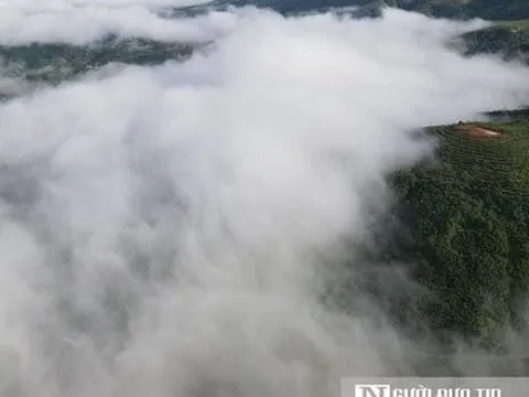 Khánh Hòa: Du khách thích thú săn mây trên đỉnh đèo Khánh Sơn