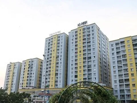 Dòng tiền kinh doanh của Năm Bảy Bảy âm kỷ lục