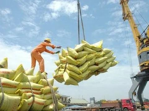 Vinafood II thấy "ánh sáng cuối đường hầm"