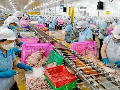 Ông Đỗ Lập Nghiệp thoái gần hết vốn khỏi cá tra Nam Việt