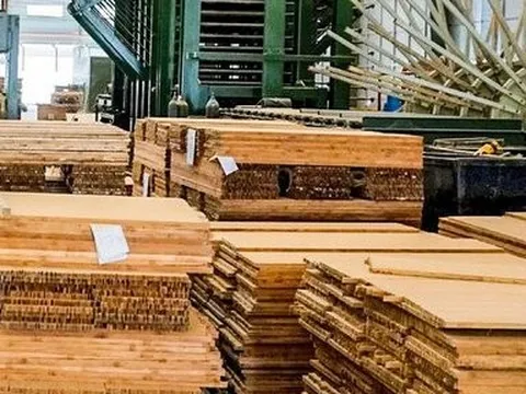 Doanh thu sụt giảm 87%, SJF vẫn báo lãi trong quý II/2022