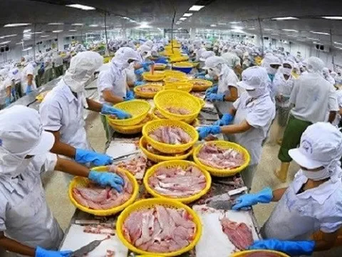 Doanh thu tháng 7 của Vĩnh Hoàn tăng 48% so với cùng kỳ