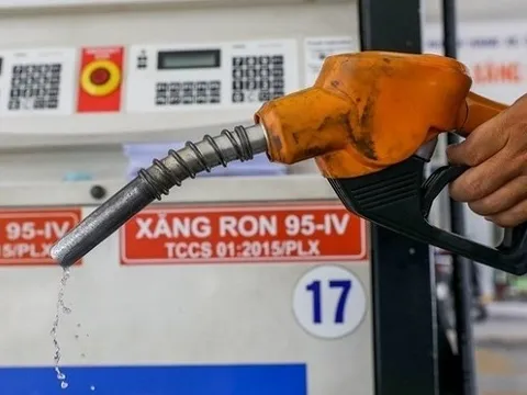 7 doanh nghiệp xăng dầu đầu mối bị tước giấy phép hoạt động có thời hạn