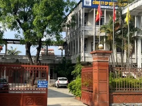 DNA Pharma bị phạt 60 triệu đồng