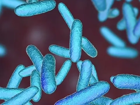 Phát triển thuốc mới chống được 300 loại vi khuẩn kháng kháng sinh