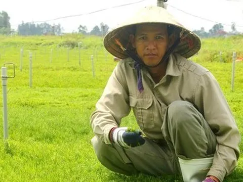 Khởi nghiệp thành công với thu nhập tiền tỉ nhờ thuần hóa rau dại thành đặc sản