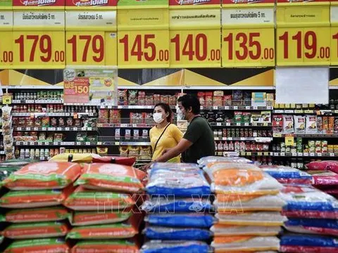 Thị trường nông sản thế giới: Giá gạo Ấn Độ, Thái Lan biến động trái chiều