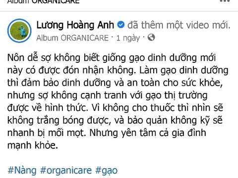 Facebooker Lương Hoàng Anh âm thầm xóa các bài viết chê "gạo thị trường có thuốc”?