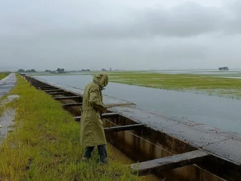 Một huyện ở Đắk Lắk thiệt hại 67 tỷ đồng do mưa lũ