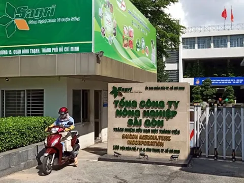 Bộ Tài chính trả lời kiến nghị cử tri TP HCM về sắp xếp nhà, đất