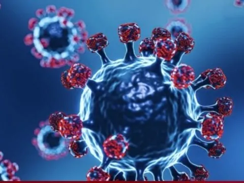 Biến thể BA.2.75 của Omicron xuất hiện tại Việt Nam