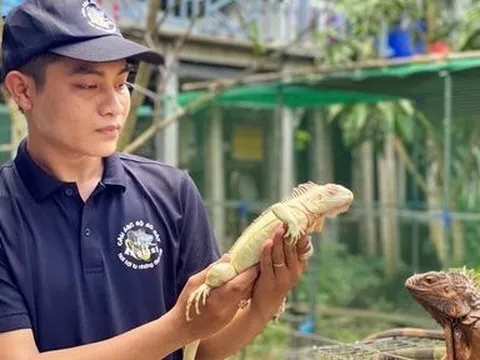 An Giang: Nuôi Rồng Nam Mỹ thu lợi hàng trăm triệu mỗi năm