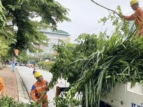 Công ty Điện lực Hà Tĩnh tăng cường bảo vệ hành lang an toàn lưới điện