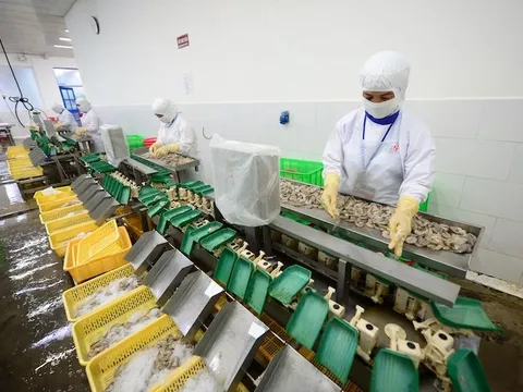 Doanh nghiệp thuỷ sản trước tác động của tỷ giá