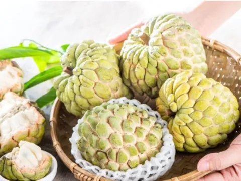 Loại quả "xấu xí" bán đầy chợ ai ngờ là “thần dược” giảm nguy cơ đột quỵ