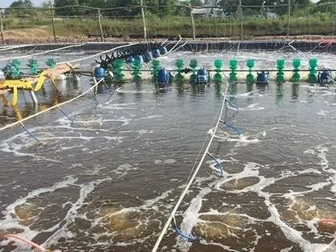 Tiềm lực của doanh nghiệp đề xuất đầu tư dự án thủy sản nghìn tỷ tại Quảng Trị