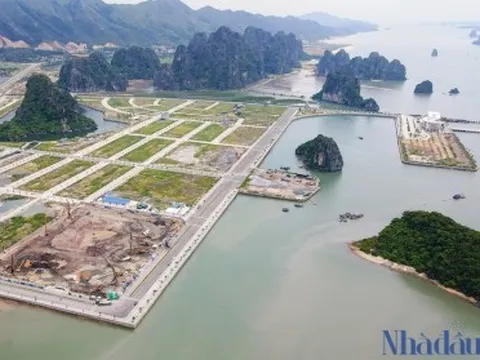 Cú 'tất tay' của Everland ở Vân Đồn