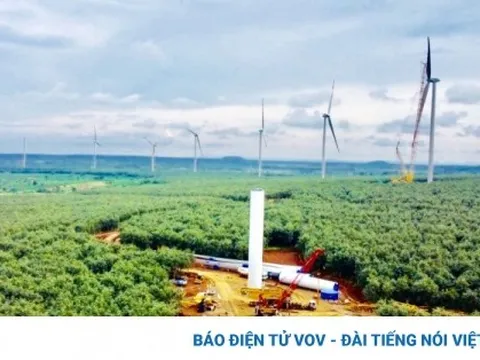 Làm tắt, lách luật, điện gió thành công mà đau đớn