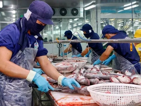 Một doanh nghiệp Việt Nam bị Trung Quốc đình chỉ xuất khẩu vì Covid-19