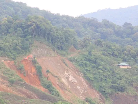 Quảng Nam thu hồi 24 ha rừng đặc dụng làm đường, Bộ NN-PTNT "tuýt còi"