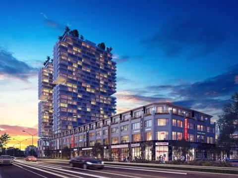 API được chấp thuận việc phát hành cổ phiếu thưởng tỉ lệ 120%