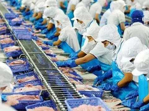 Thuỷ sản Nam Việt rót thêm 38 tỷ đồng vào dự án sản xuất collagen từ da cá