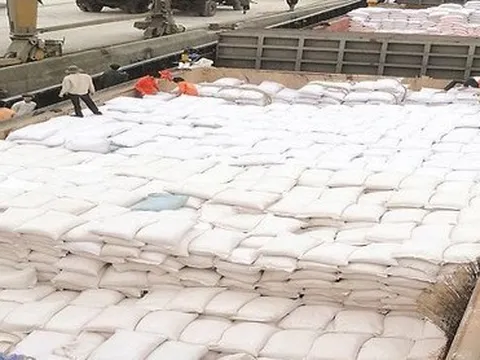 Hơn 38 ngàn tấn gạo bán sang Philippines: Doanh nghiệp sẽ khó thu tiền nếu quota nhà nhập khẩu hết hạn
