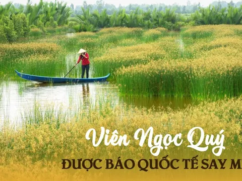 1 nơi ở Việt Nam được chuyên trang du lịch quốc tế gọi là 'Viên ngọc quý': Niềm mơ ước của người mê sinh thái